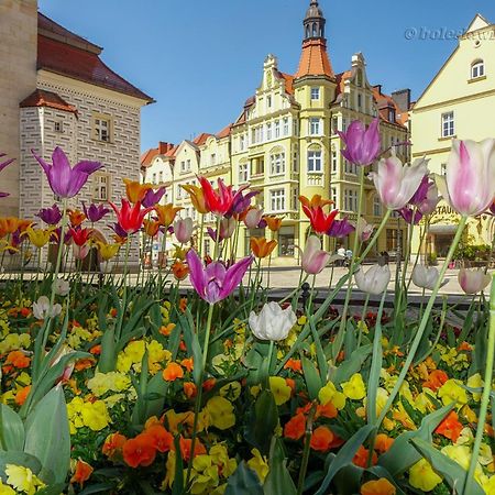 Apartament Przy Starowce - Hampton Boleslawiec  Exteriör bild