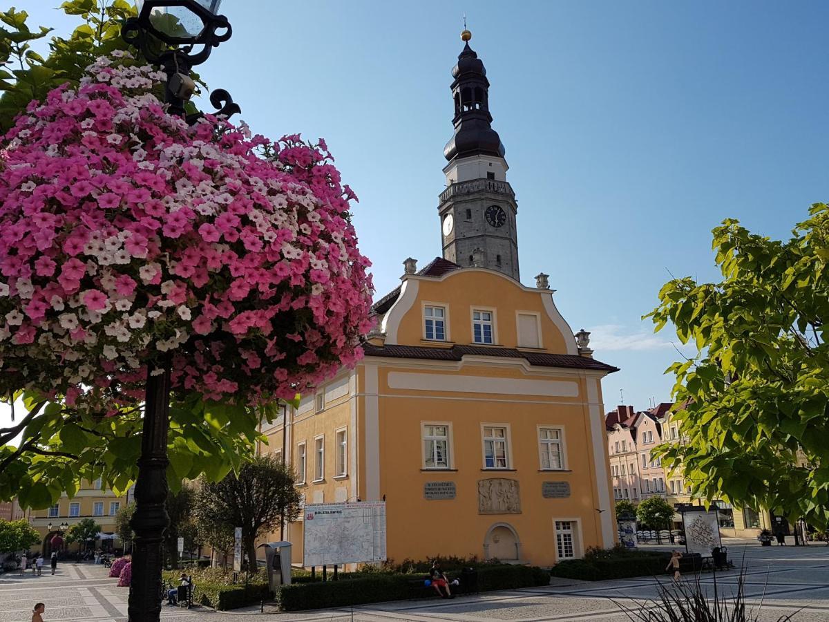 Apartament Przy Starowce - Hampton Boleslawiec  Exteriör bild