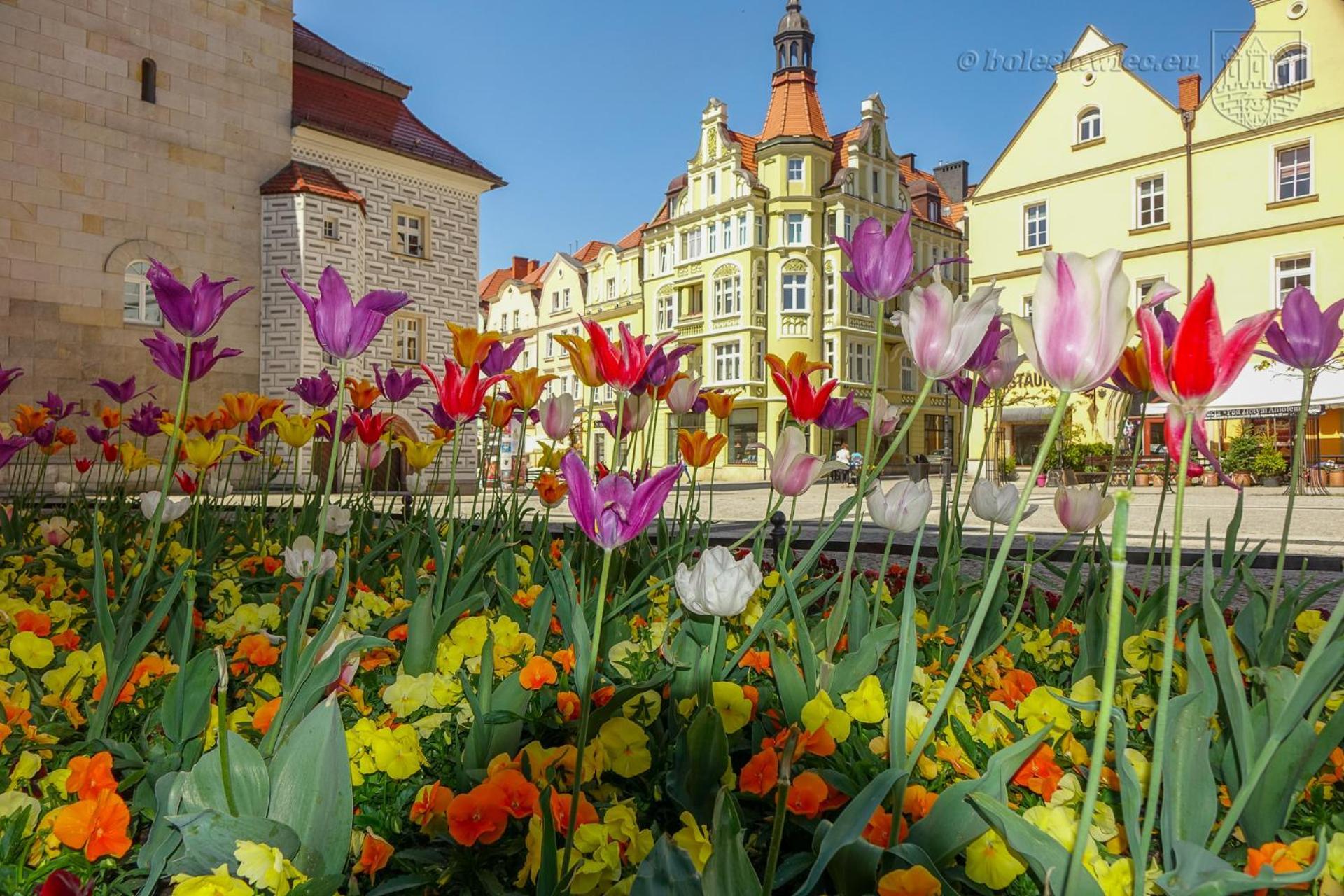 Apartament Przy Starowce - Hampton Boleslawiec  Exteriör bild